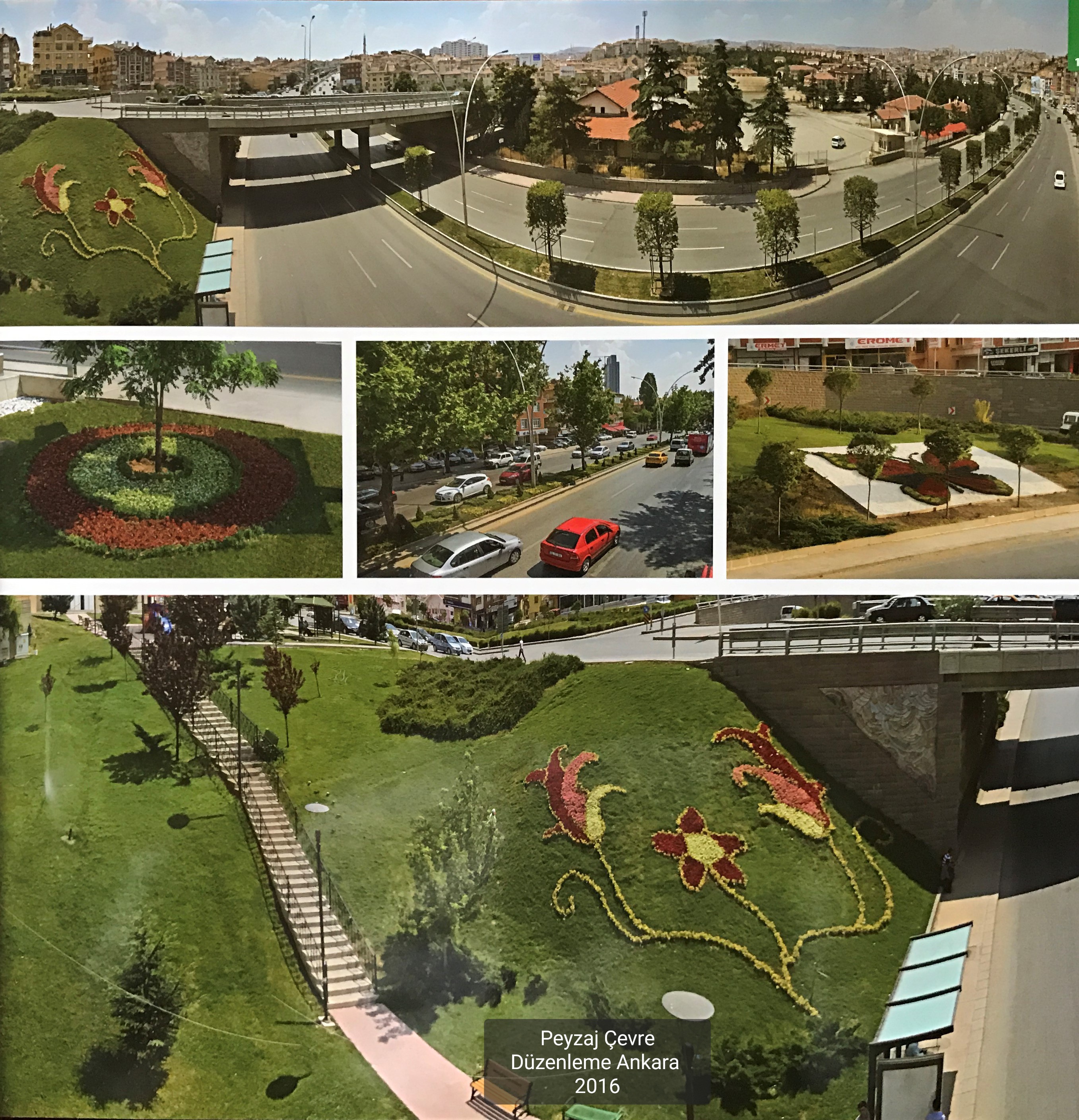 Peyzaj Çevre Düzenleme